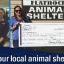 Animal Rescue